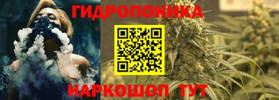 apvp Новодвинск
