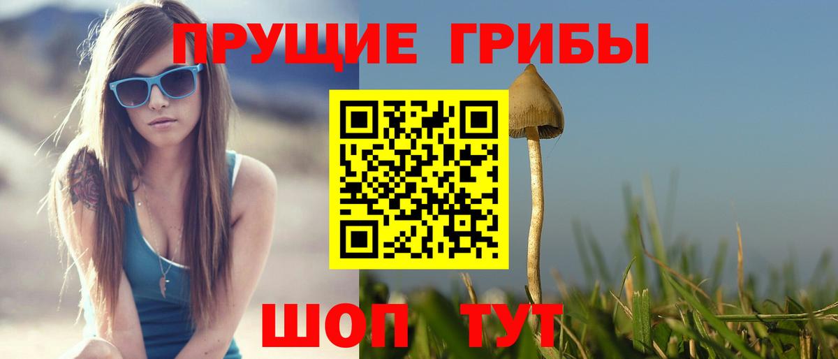 как найти закладки  Псилоцибиновые грибы прущие грибы  Вход с VPN  Уварово  Галлюциногенные грибы прущие грибы 